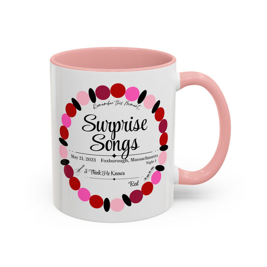 Surprise Song Mug : Foxborough, Massachusetts N3